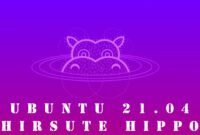 Ubuntu 21.04 Hirsute Hippo