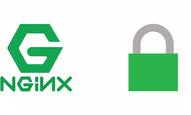 Nginx Security