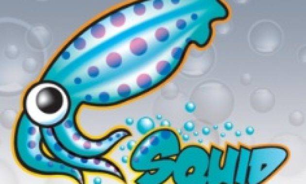 High Squid Proxy untuk caching youtube pada server internal | Nugi.Biz